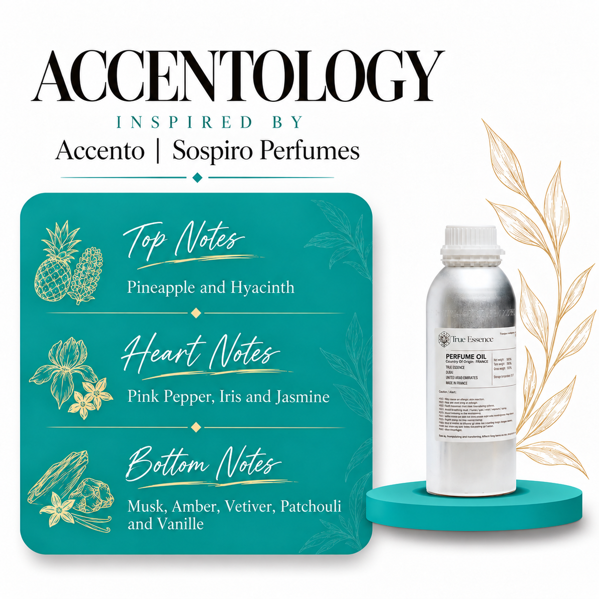 ACCENTOLOGY Inspired By Accento | Sospiro Perfumes | Top Quality