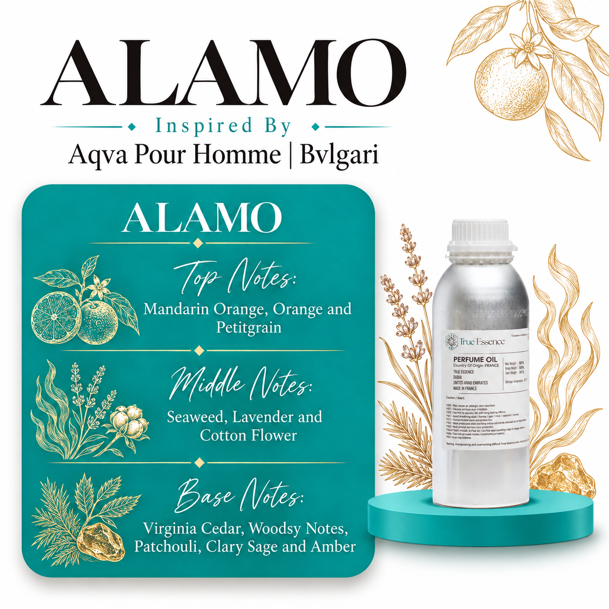 ALAMO Inspired By Aqva Pour Homme | Bvlgari | Medium Quality