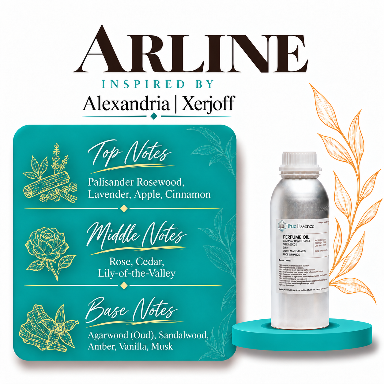 ARLINE Inspired by Alexandria | Xerjoff | Medium Quality