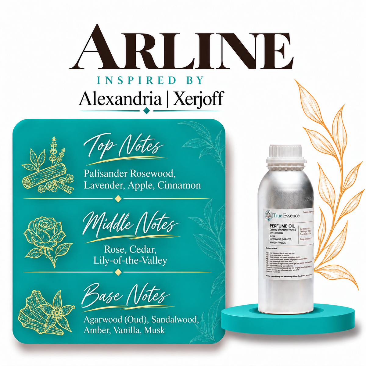 ARLINE Inspired by Alexandria | Xerjoff | Medium Quality