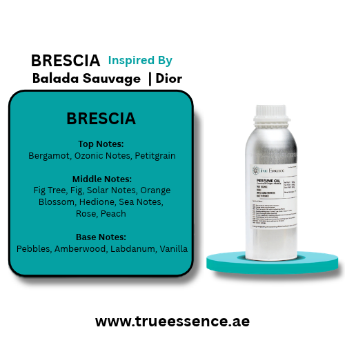 Brescia Inspired by Balada Sauvage | Dior | Medium Quality