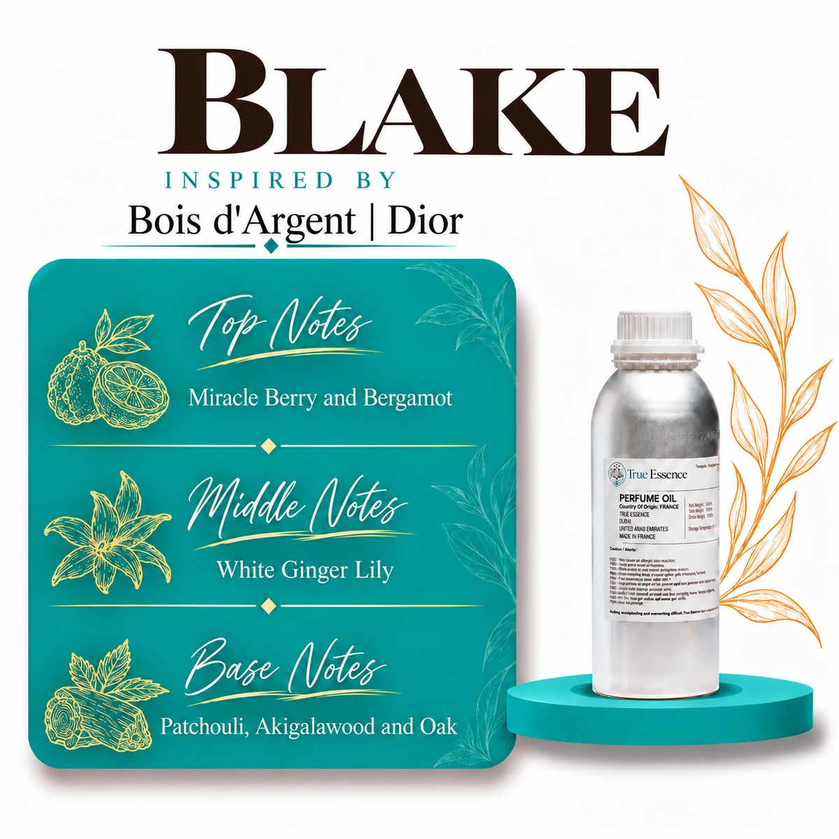 BLAKE Inspired By Bois d'Argent | Dior | Medium Quality