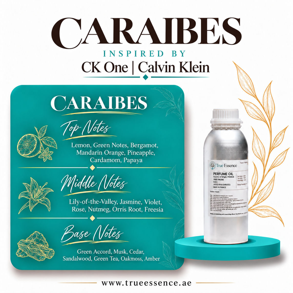 CARAIBES مستوحى من CK One | كالفن كلاين