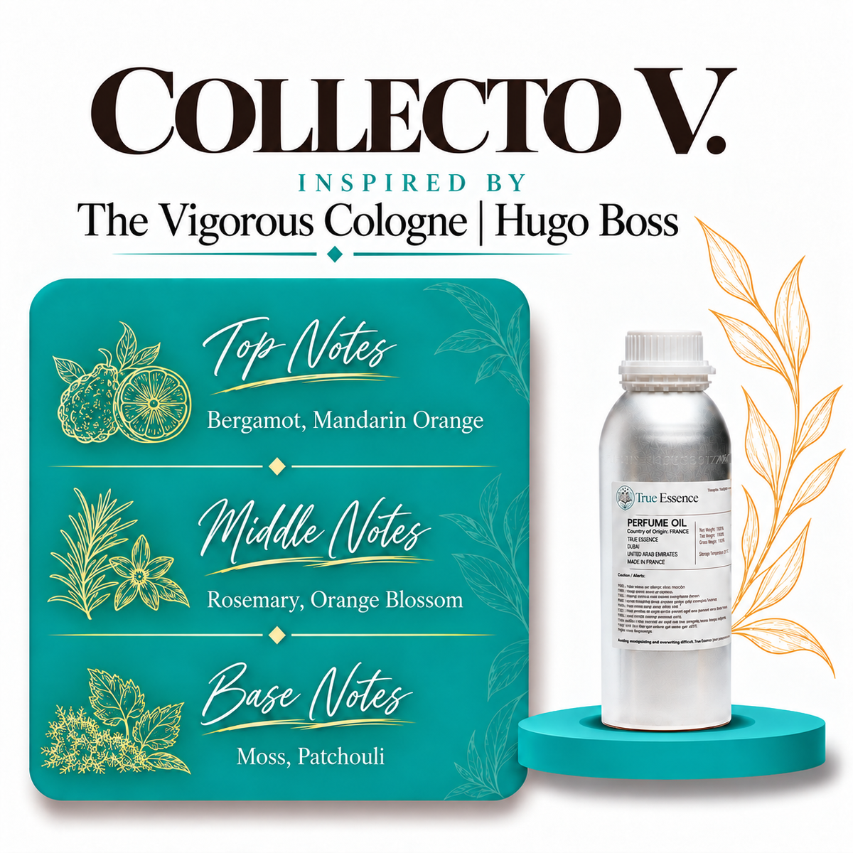 COLLECTO V. Inspired By The Vigorous Cologne | Hugo Boss | Top Quality