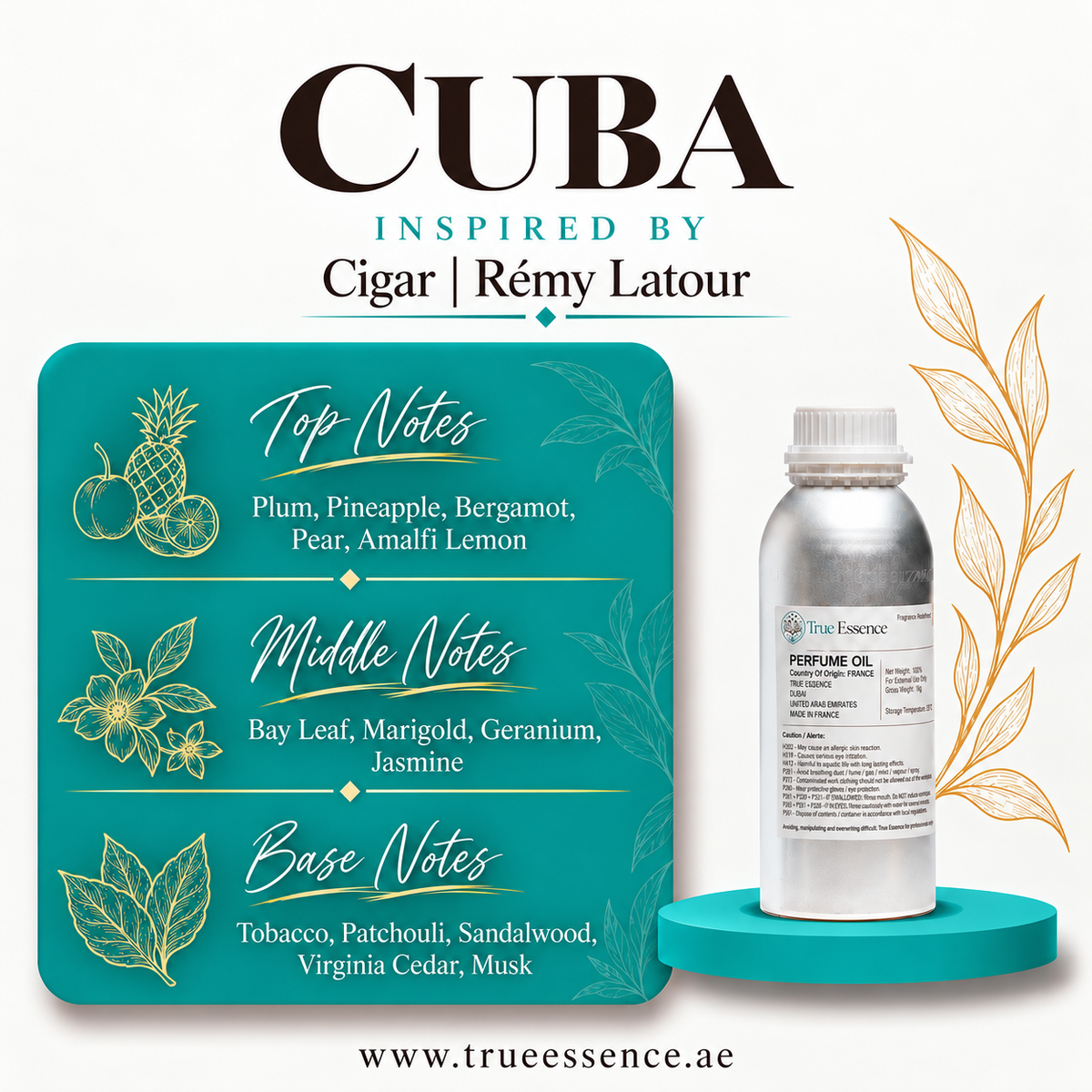 CUBA Inspired By Cigar | Rémy Latour | Medium Quality