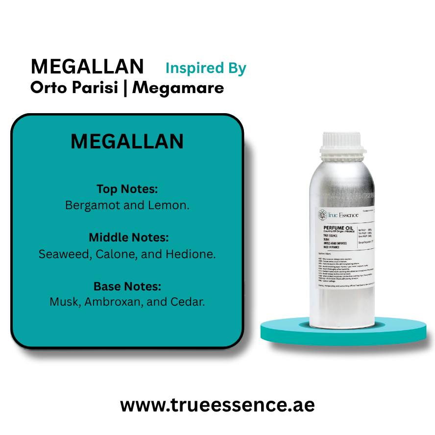 MEGALLAN Inspired by Orto Parisi | Megamare | Premium Quality