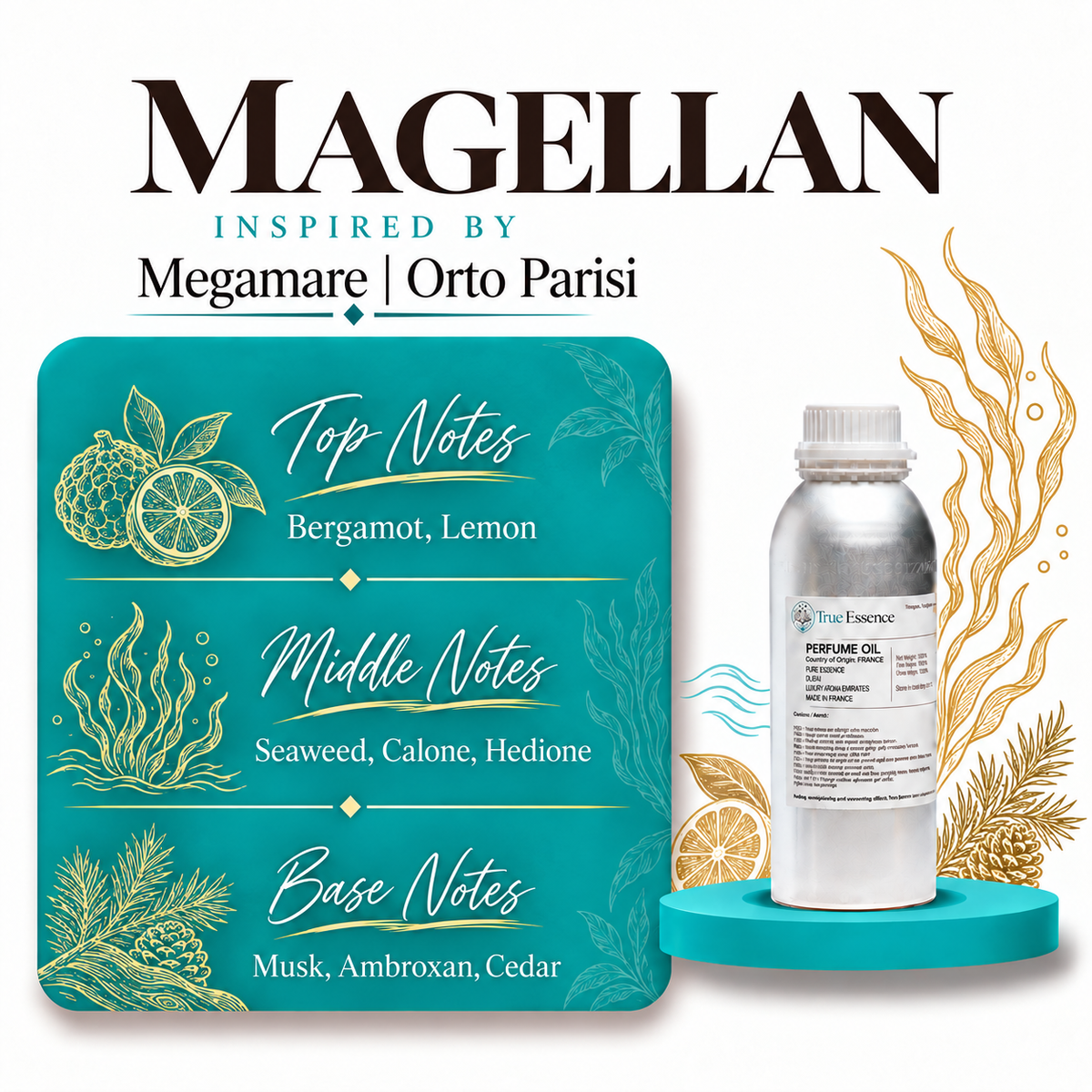 MAGELLAN Inspired By Megamare | Orto Parisi | Medium Quality