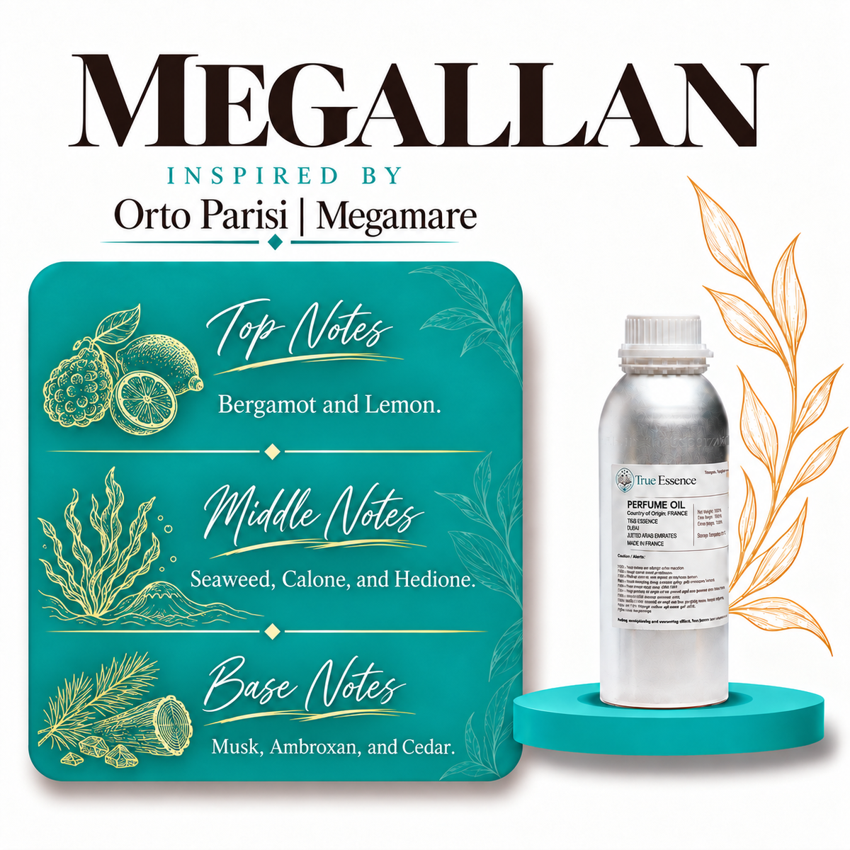 MEGALLAN Inspired by Orto Parisi | Megamare | Premium Quality