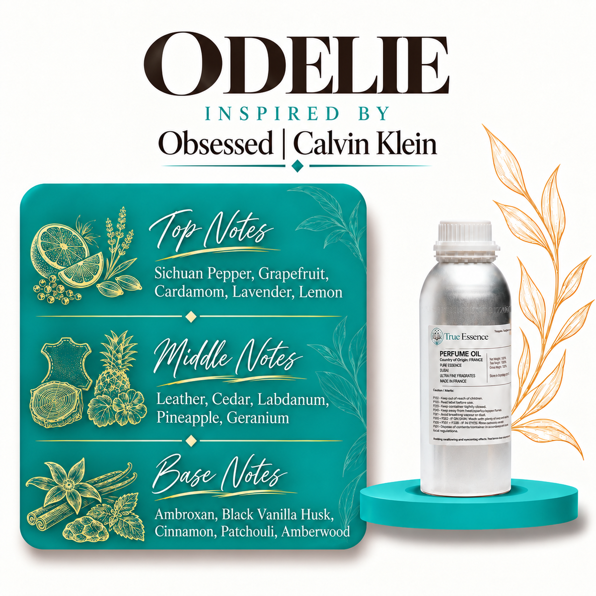 ODELIE Inspired by Obsessed | Calvin Klein | Top Quality