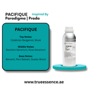 PACIFIQUE Inapired by Paradigme | Prada | Top Quality