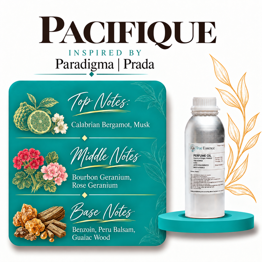 PACIFIQUE Inapired by Paradigme | Prada | Top Quality