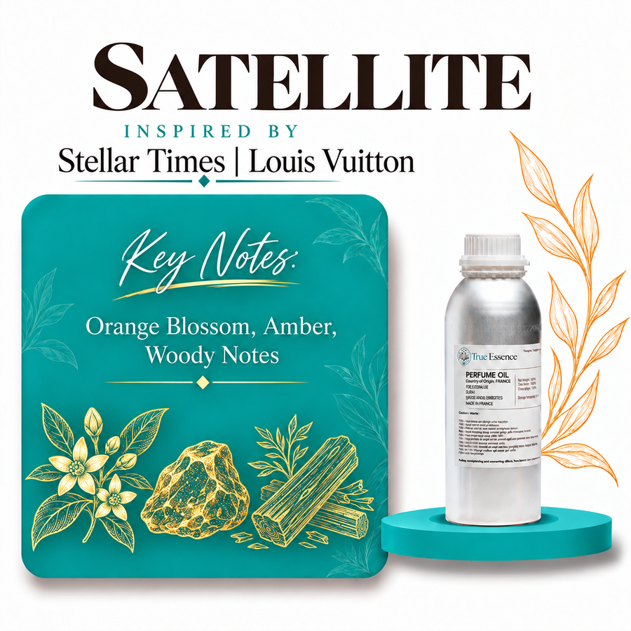 SATELLITE Inspired By Stellar Times | Louis Vuitton | Medium Quality
