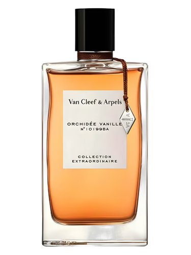 Van Cleef & Arpels orchid vanille perfume bottle on a black background