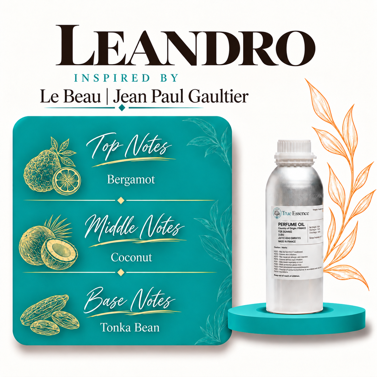 LEANDRO Inspired By Le Beau | Jean Paul Gaultier | Medium Quality